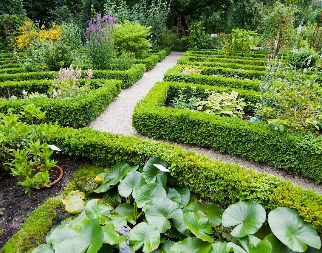 Hortus Botanicus Amsterdam